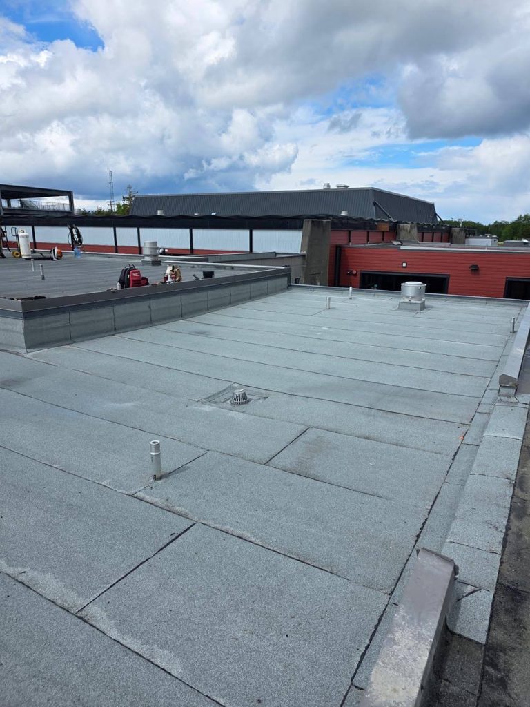 Alpha Roofing Masset Completed Roof